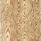 Wood  Hand Tufted Wool Carpet & Rug