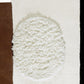 Isel Hand Tufted Wool Rug