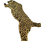 Froi Tiger Irregular Hand Tufted Carpet & Rug