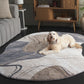 Orren Contour Irregular Hand Tufted Carpet & Rug