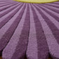 Mesha Daisy  Pelletes I rregular Hand Tufted  Carpet & Rug