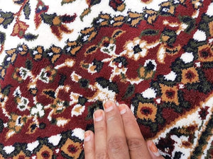 Taslima Persian Wool Blend Rug