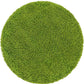Green Round Shaggy Carpet