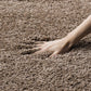 Beige Round Shaggy  Carpet