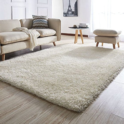 Soft Shaggy Carpet & Rug