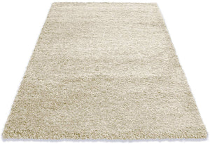 Soft Shaggy Carpet & Rug