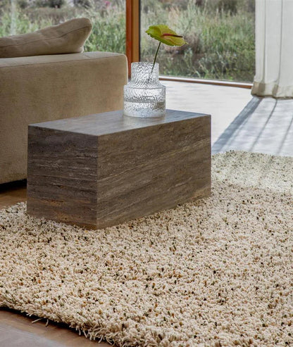 Frestol Beige Shaggy Carpet