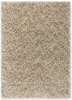 Frestol Beige Shaggy Carpet