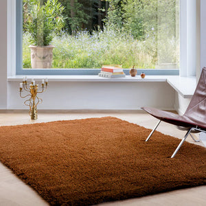Pristo Rust Shaggy Carpet