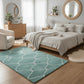 Wave Shaggy Carpet & Rug