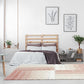 Peach & White 3D Edge Shaggy Carpet
