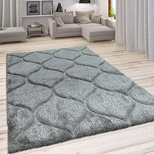 Arial Grey  Shaggy Carpet