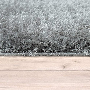 Arial Grey  Shaggy Carpet