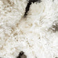 Ivory Little Star Shaggy Carpet