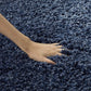 Moriz Shaggy Carpet & Rug