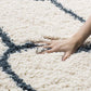 Cozy Shaggy Carpet & Rug