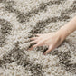 Shion Shaggy Carpet & Rug