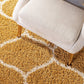 Nagario  Shaggy Carpet & Rug