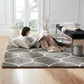 Sharon Shaggy Carpet & Rug