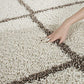 Loft Shaggy Carpet & Rug