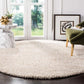 Lush Shaggy Carpet & Rug