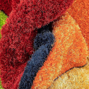 Wizo Multicolour Shaggy Carpet